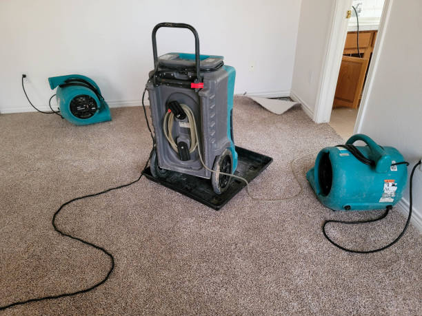 Best Water damage restoration near me  in Muscle Shos, AL