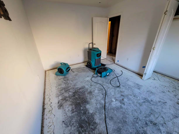 Best Residential water damage restoration  in Muscle Shos, AL