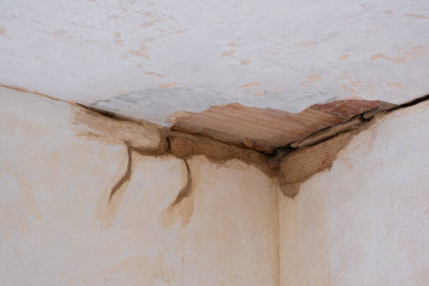 Sewage cleanup and water damage restoration in Muscle Shoals, AL
