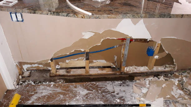 Best Flood restoration services  in Muscle Shos, AL