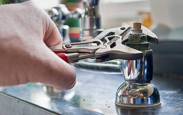Best Local water damage restoration  in Muscle Shos, AL