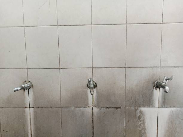 Best Fire Damage Restoration  in Muscle Shos, AL