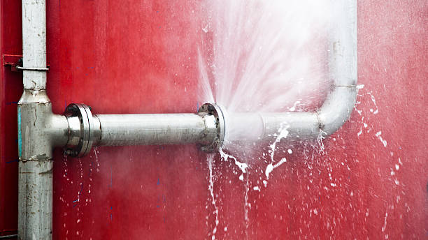 Best Flood damage cleanup  in Muscle Shos, AL